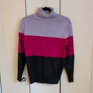 Colorblock Turtleneck Sweater